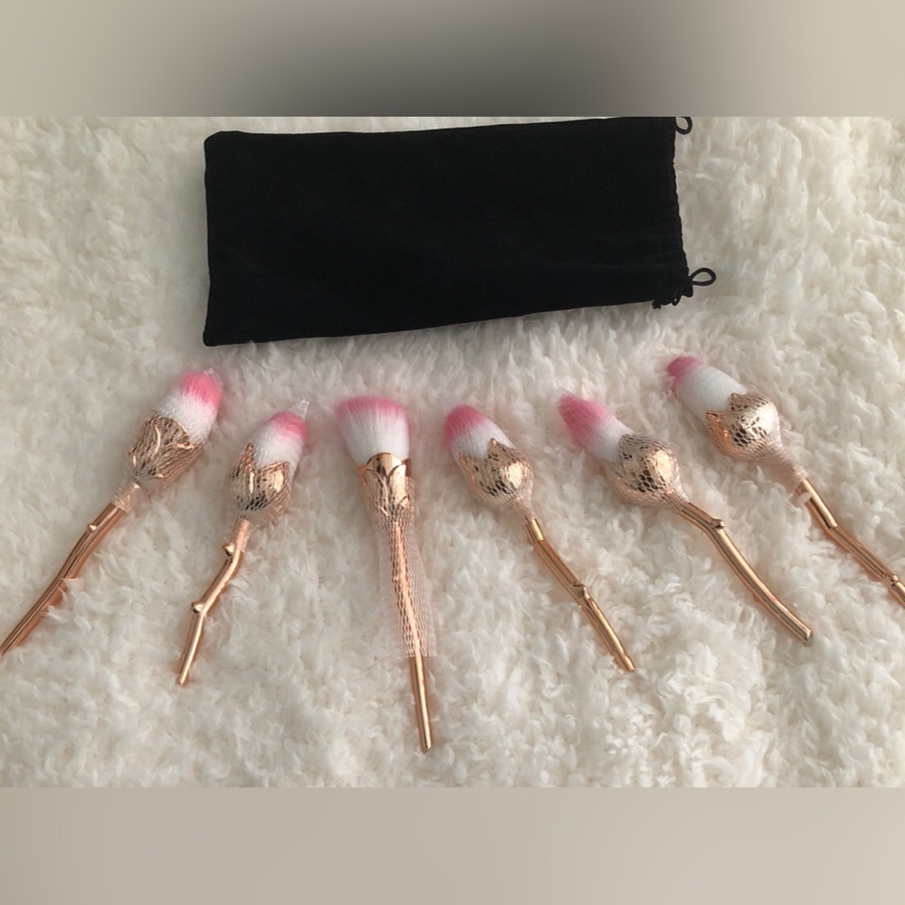 NEW BEAUTIFUL MAKEUP BRUSHES WITH BAG 6PIECES